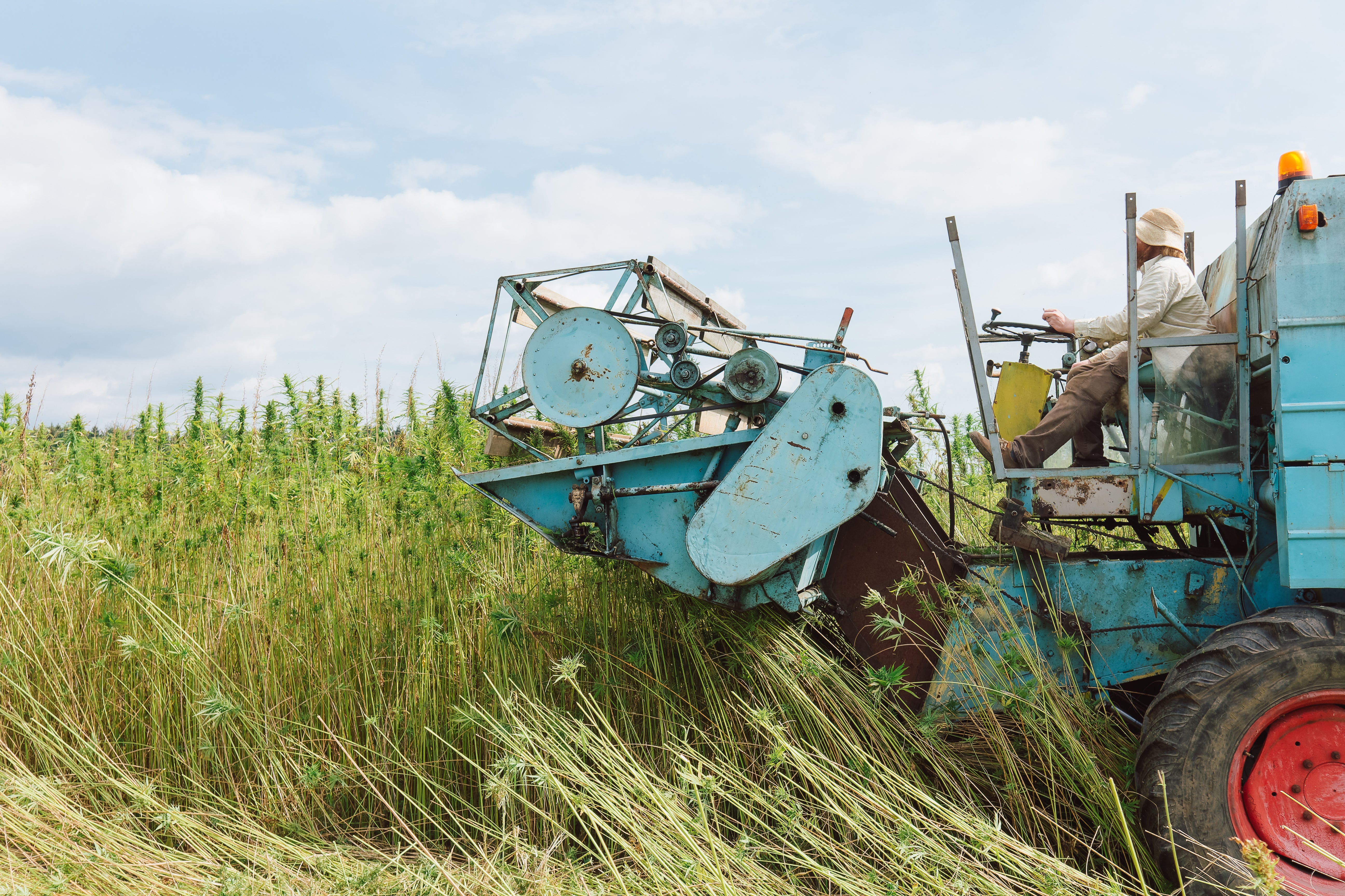 Harvester cutting crops with a clear blue sky in the background