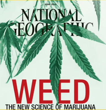 National Geographic magazine cover with cannabis leaves and 'WEED' text